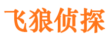 米林飞狼私家侦探公司